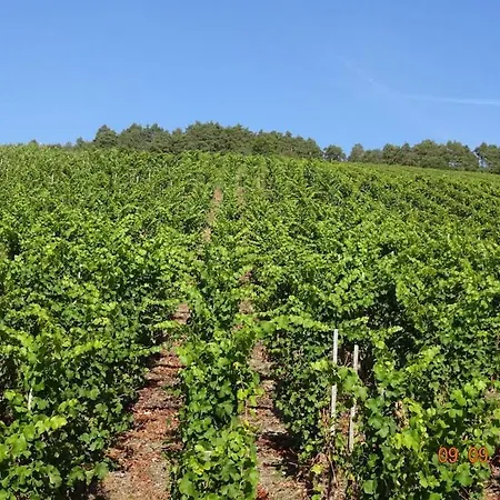 2 Weinhaus Marmann * Osann-Monzel