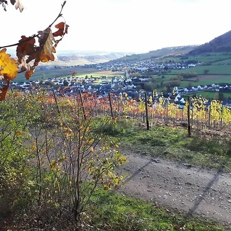 2 Weinhaus Marmann Vakantiehuis Osann-Monzel