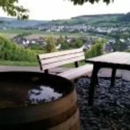 Vakantiehuis 2 Weinhaus Marmann *