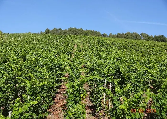 2 Weinhaus Marmann * Osann-Monzel