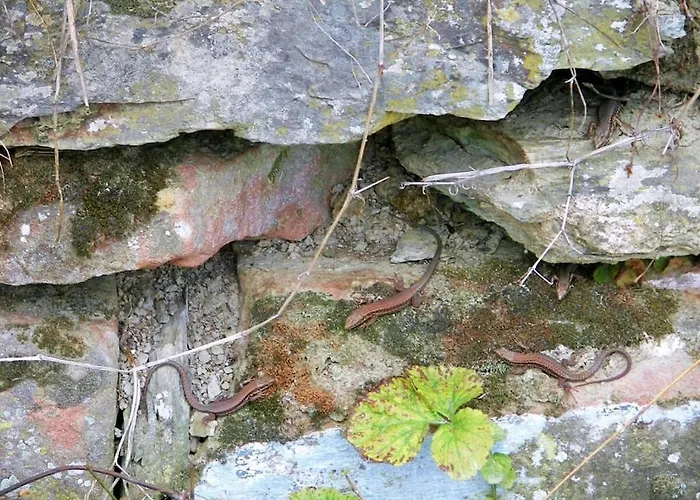 Ferienhaus 2 Weinhaus Marmann Osann-Monzel