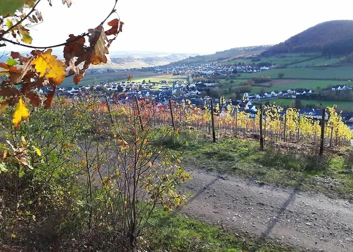 2 Weinhaus Marmann Ferienhaus Osann-Monzel